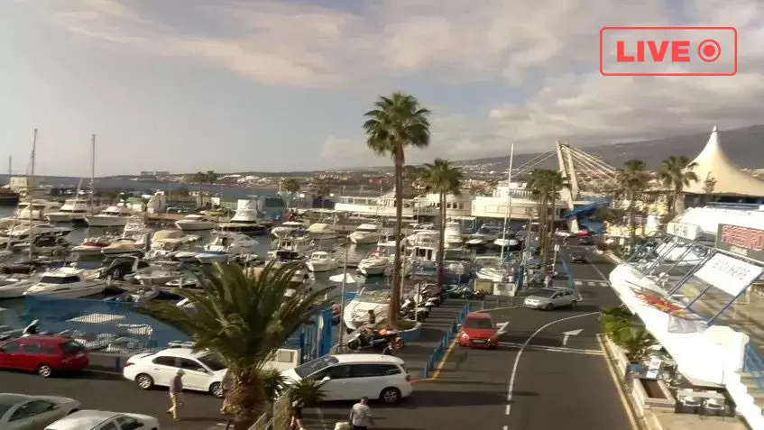 Puerto Colon - Tenerife Live cam