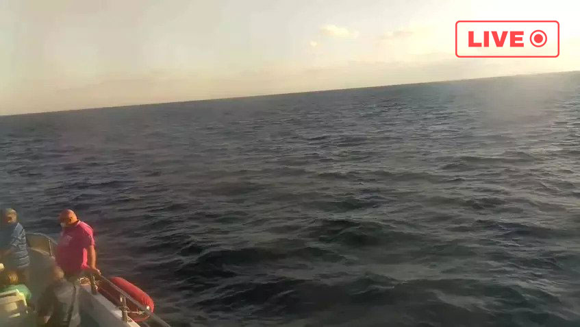 Catamaran Royal Delfin - Tenerife Live cam