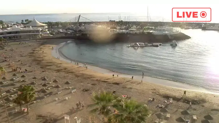 Costa Adeje - Playa La Pinta Live cam