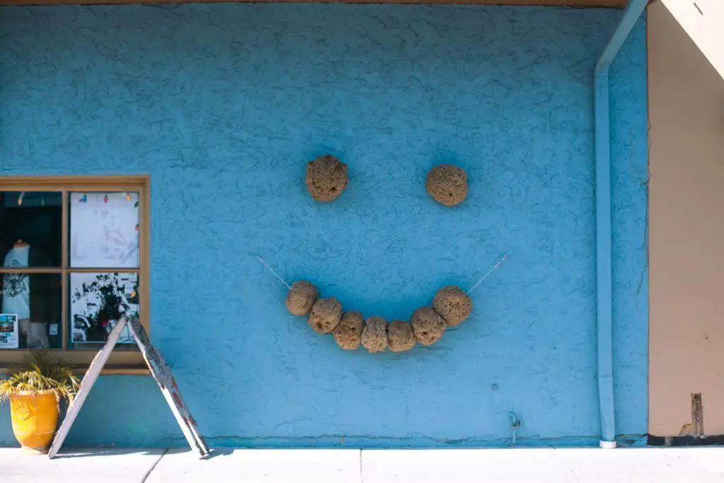 Sponges on a wall in Tarpon Springs, FL