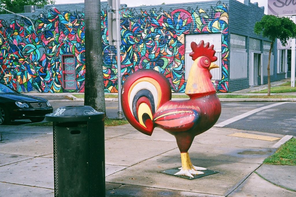 Large colorful rooster in Little Havana, Miami