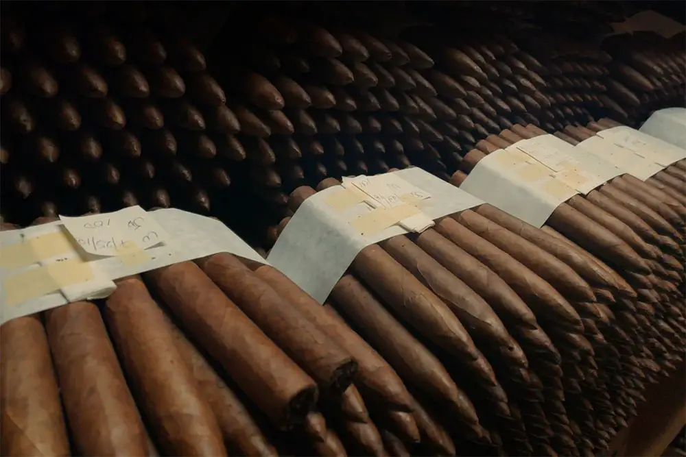 Cuban cigars from El Titan de Bronze in Little Havana, Miami