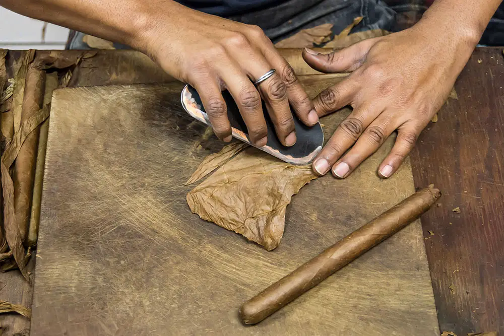Making cigars in Little Havana, Miami