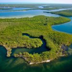 Aerial view of Key Shell Preserve in Florida