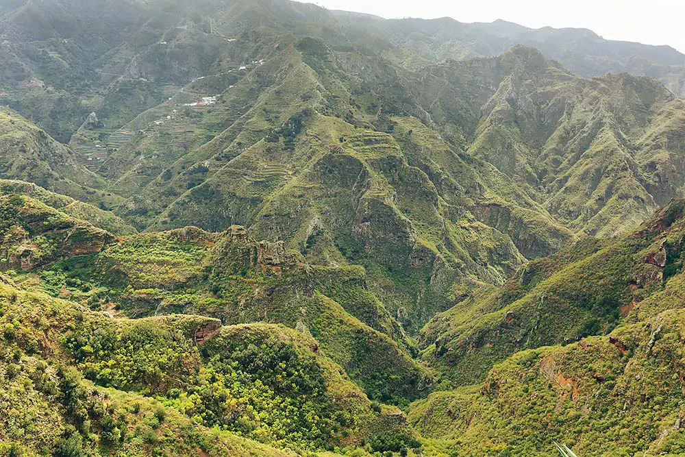 Chinamada, Anaga massif, Tenerife in Canary Islands, Spain.

