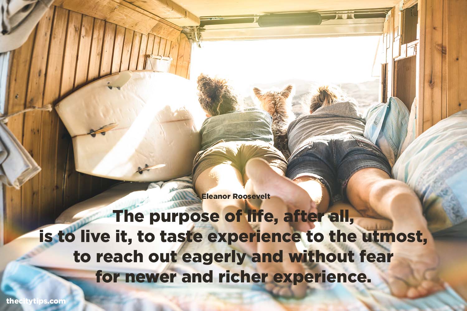 "The purpose of life, after all, is to live it, to taste experience to the utmost, to reach out eagerly and without fear for newer and richer experience." by Eleanor Roosevelt