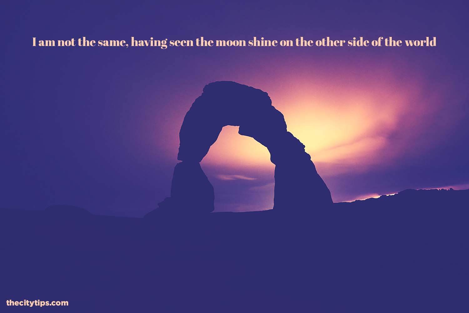 "I am not the same, having seen the moon shine on the other side of the world." by Mary Anne Radmacher