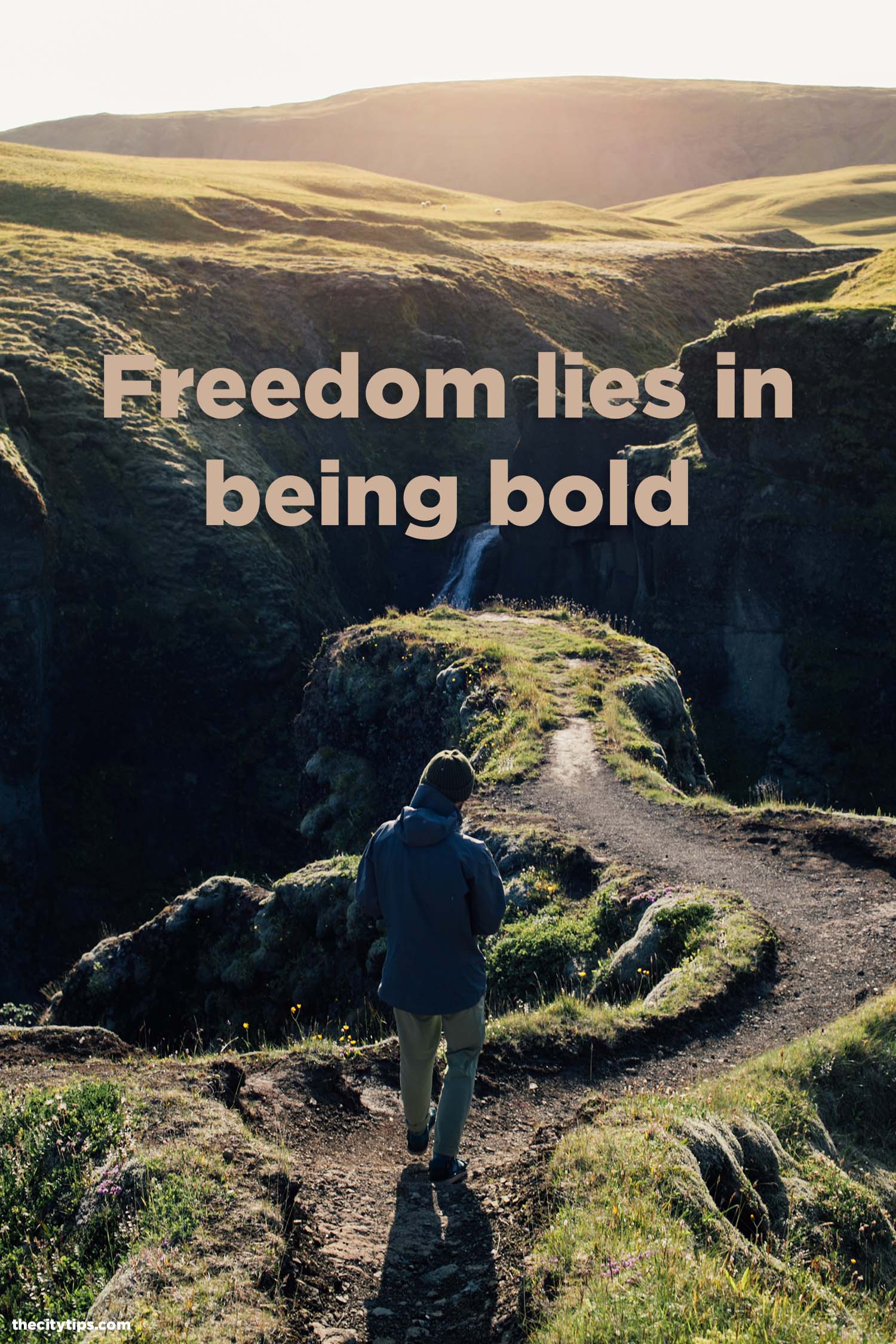 "Freedom lies in being bold." by Robert Frost