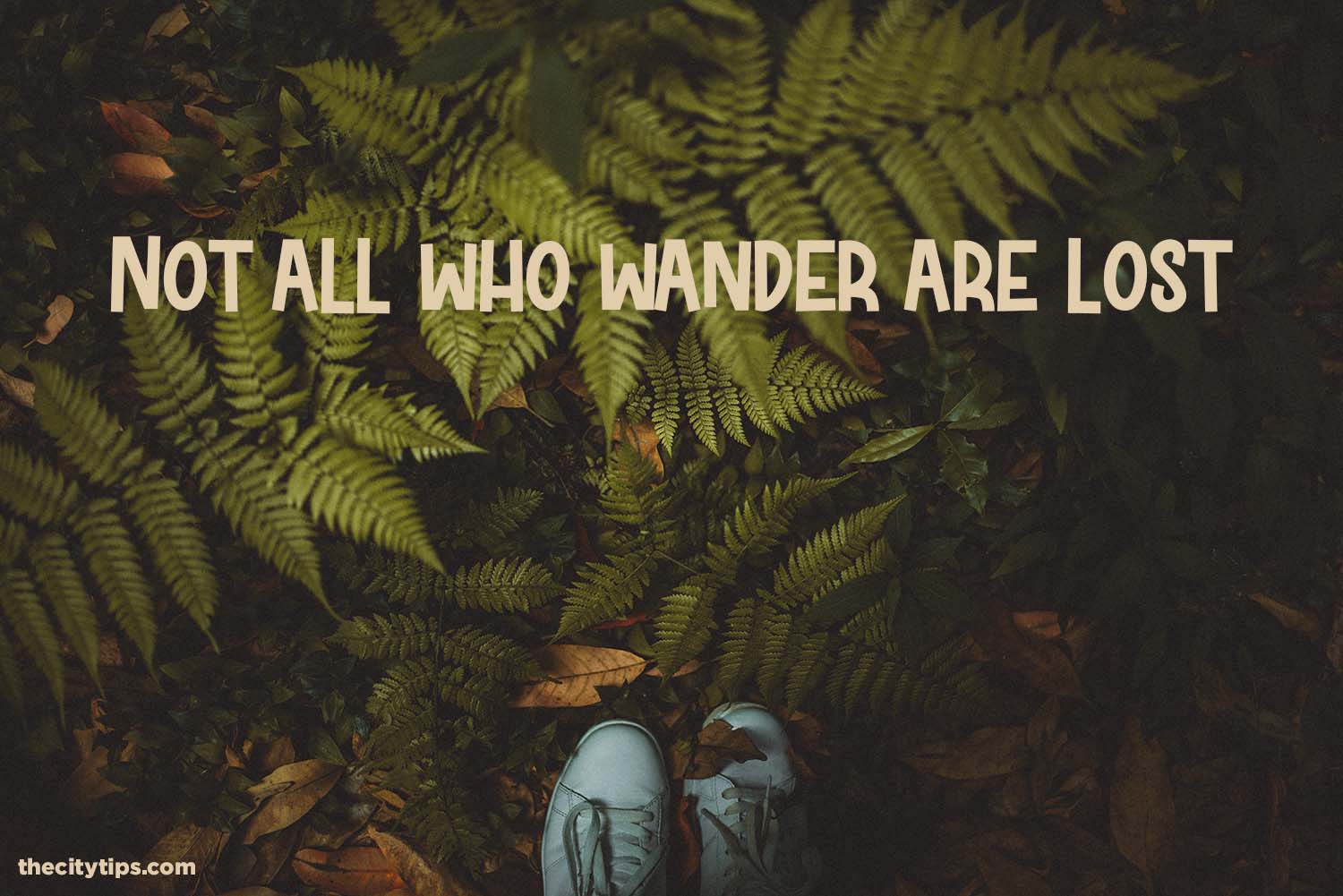 "Not all who wander are lost." by J.R.R. Tolkien